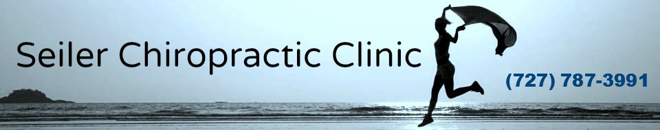 Seiler Chiropractic Clinic